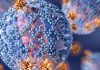 aids-an-invented-disease